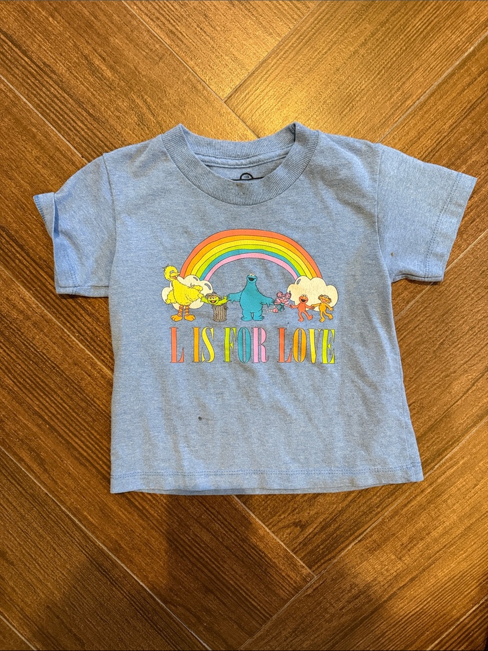 Sesame Street PRIDE Light Blue Rainbow Graphic Tee - L Is For Love